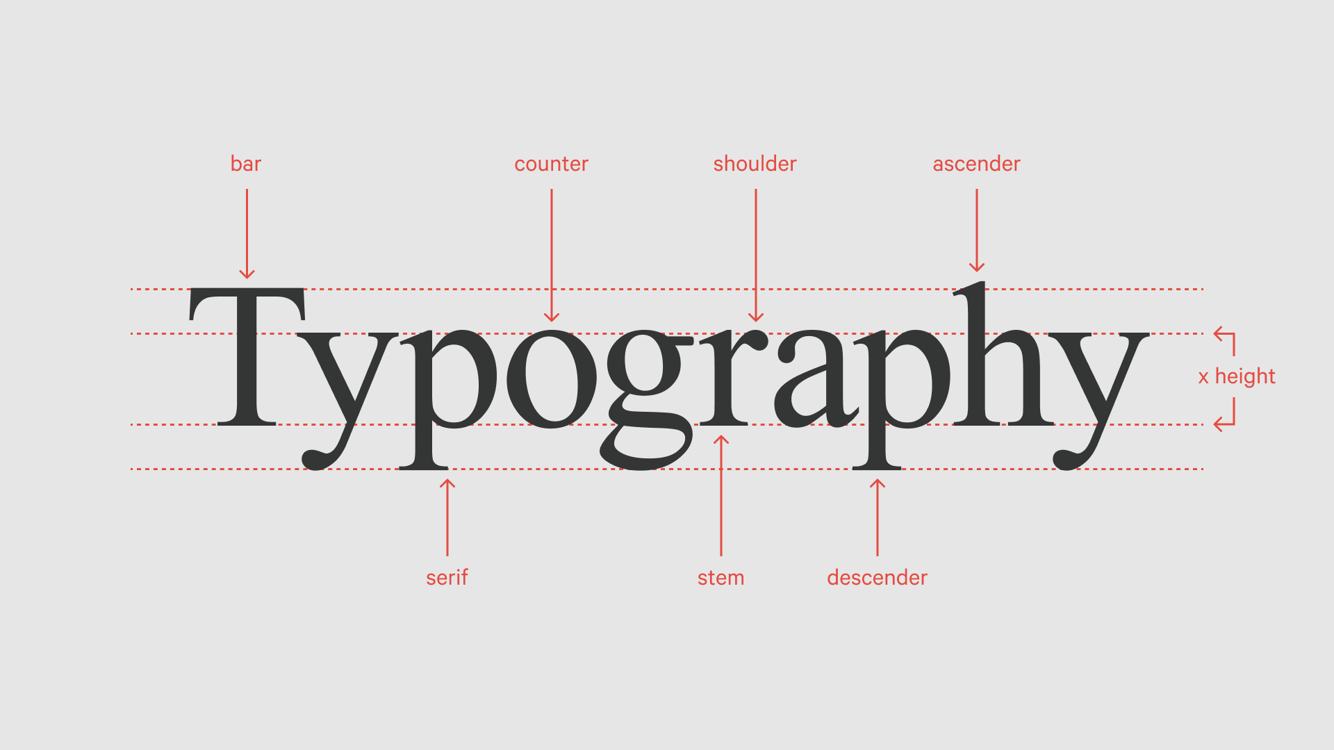 typography-faqs-letter-anatomy